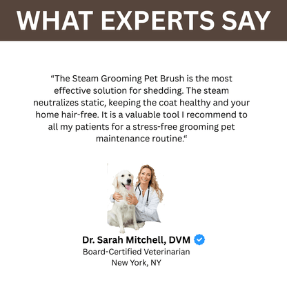 Steam Grooming Pet Brush